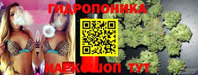 стаф Рязань