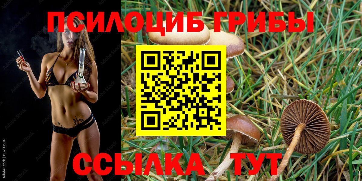 Псилоцибиновые грибы мицелий  Вход с VPN  Псилоцибиновые грибы Magic Shrooms  купить   Острогожск 