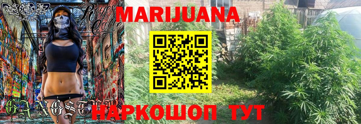 Бошки Шишки планчик Острогожск